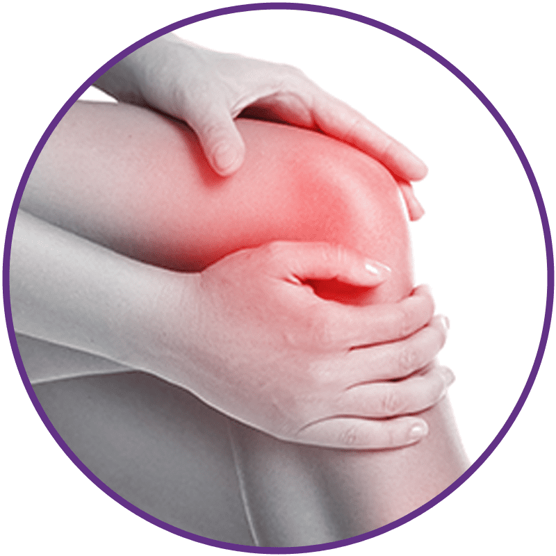 Knee Pain Knee Pain